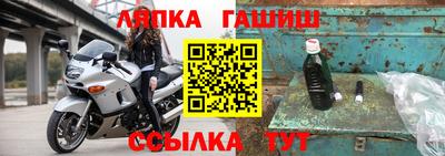 стафф Будённовск