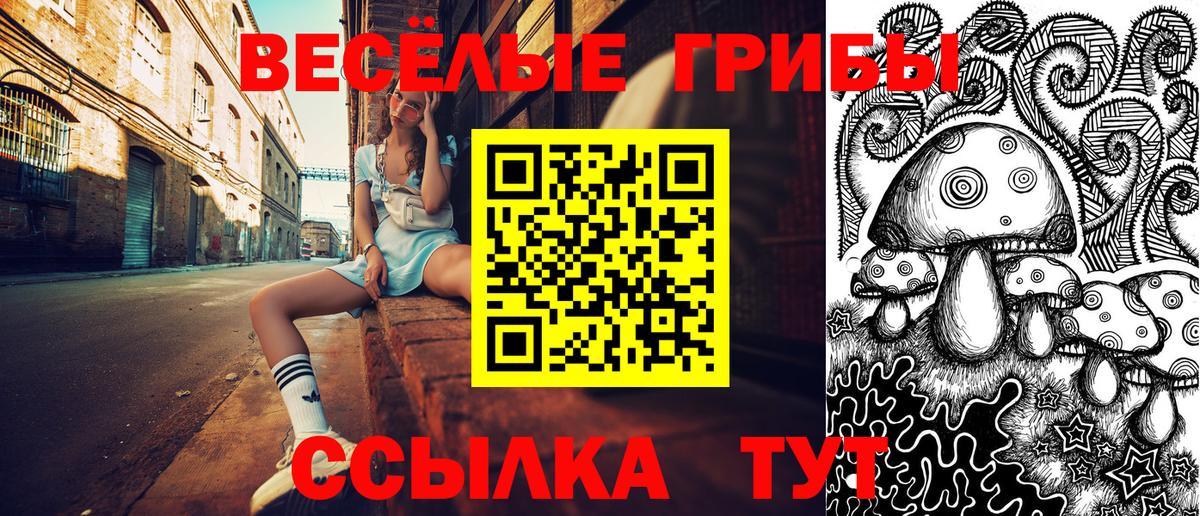 Галлюциногенные грибы мухоморы Таганрог
